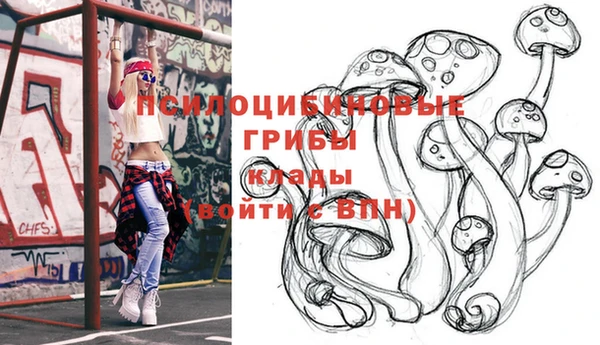 гидропоника Абдулино