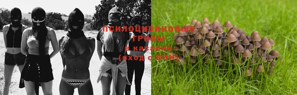 гидропоника Абдулино